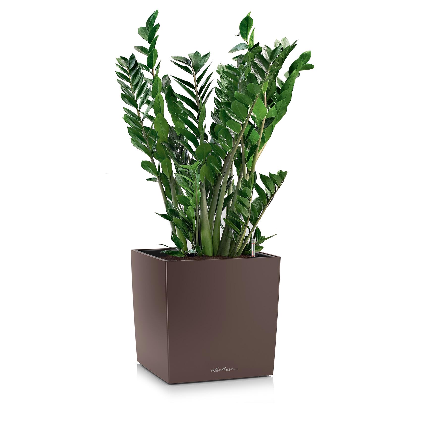 CUBE 30 espresso metallic